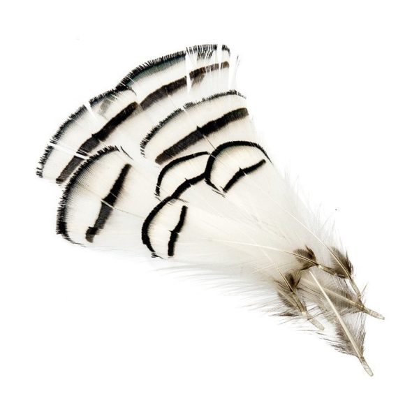 Fishing Life Silver Pheasant Tippets